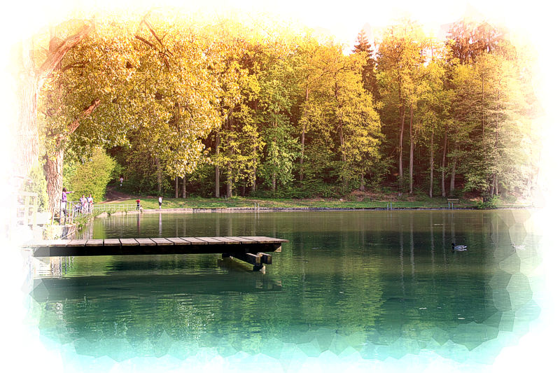 See mit Steg und Wald im Hintergrund